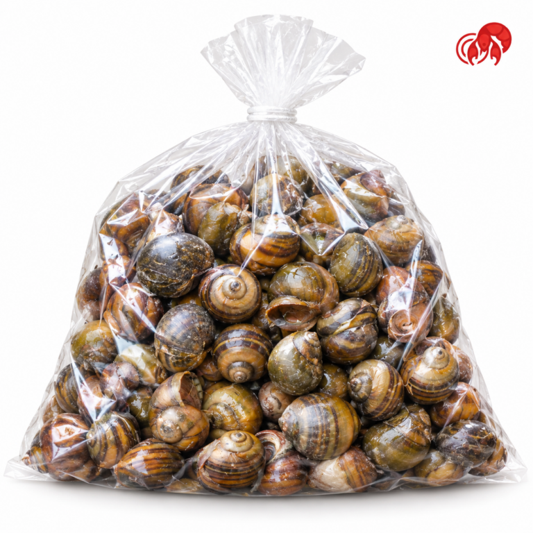 CARACOLES X1KG