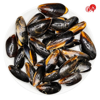 MEJILLONES ENTEROS JUGOZON X250GR