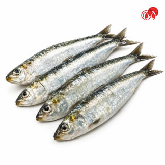 SARDINAS ENTERAS 500GR APROX